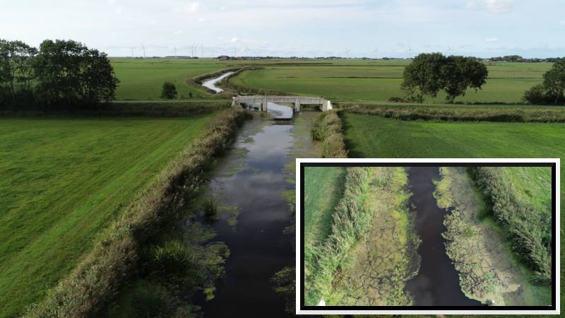 Het verschil tussen 2019 en nu in de Skraarder Feart